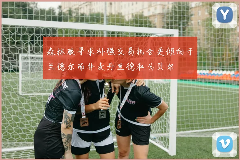 森林狼寻求补强交易机会更倾向于兰德尔而非麦丹里德和戈贝尔