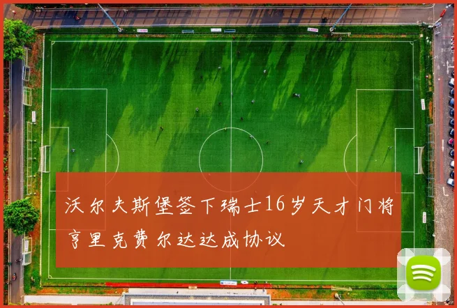 沃尔夫斯堡签下瑞士16岁天才门将亨里克费尔达达成协议