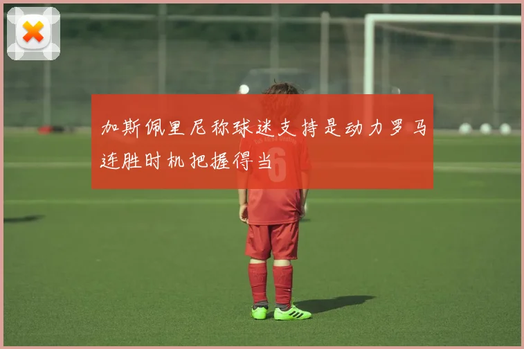 加斯佩里尼称球迷支持是动力罗马连胜时机把握得当